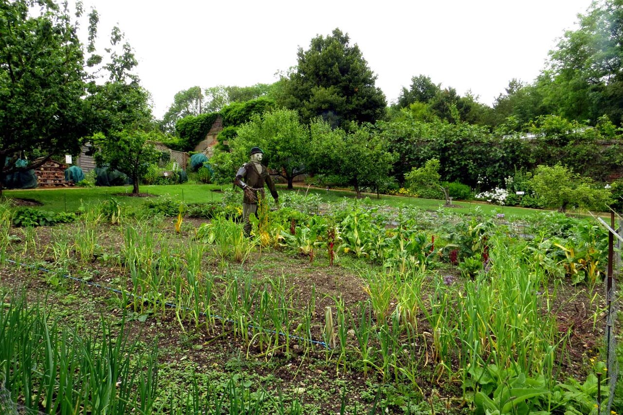 Huerto en casa: cómo empezar aunque no tengas terreno