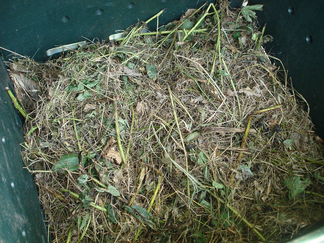 Compost casero: convierte tus restos en el mejor abono